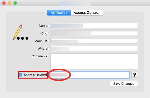 苹果怎么共享wifi密码（iphone无线密码共享方法）(7)