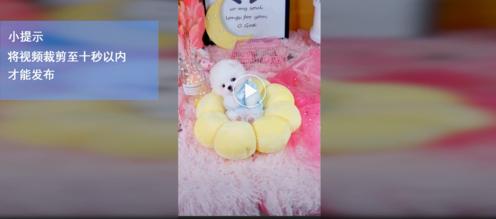 抖音视频怎么发朋友圈（抖音视频发朋友圈操作步骤详解）(5)