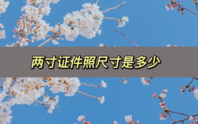 两寸照片尺寸长宽多少厘米（教你制作两寸证件照的方法）(1)