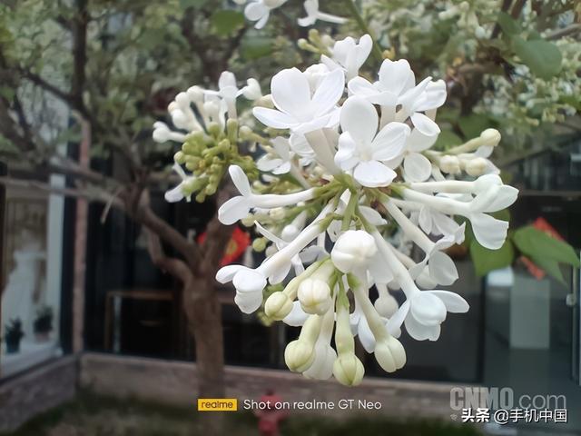 真我gtneo参数配置（realme真我gtneo2t天玑1200测评）(26)