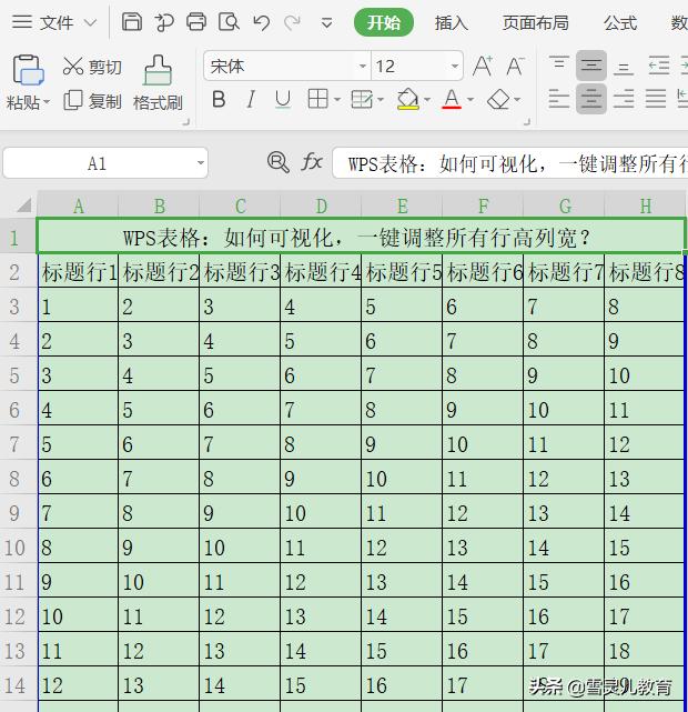 wps表格行高怎么设置（wps如何统一调整表格的行高和列宽）(1)