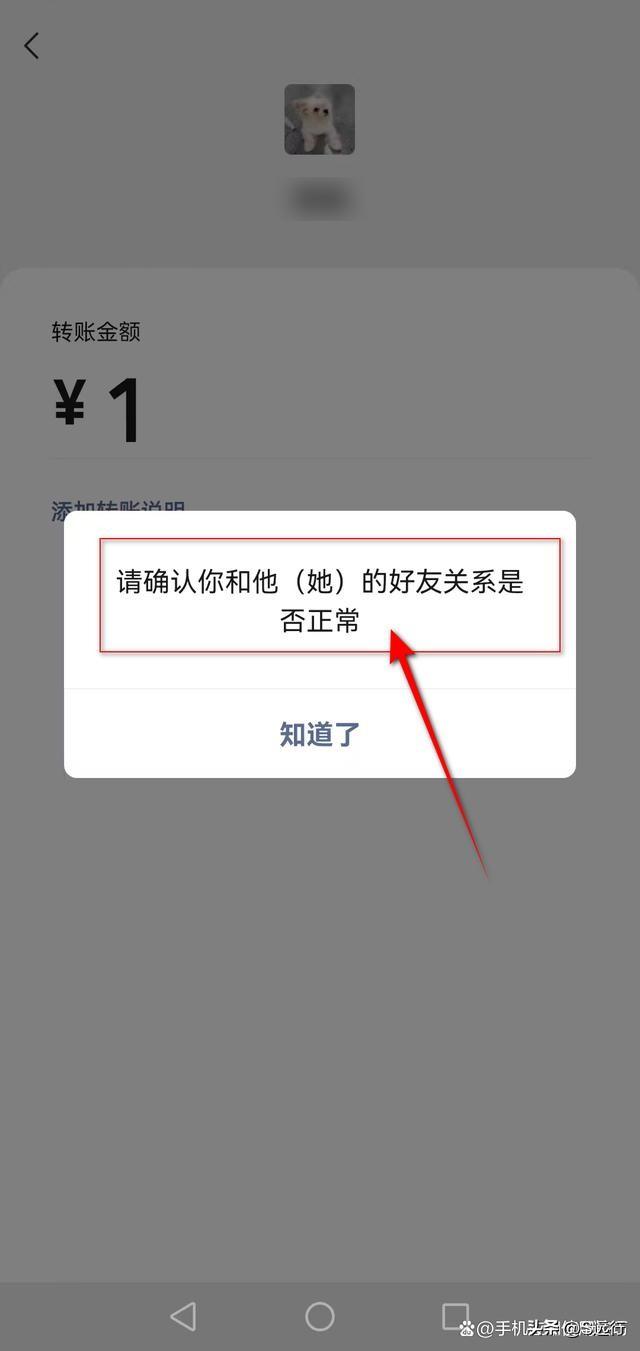 微信测试有没有被删除的方法（微信怎么判断对方是否删了你）(15)