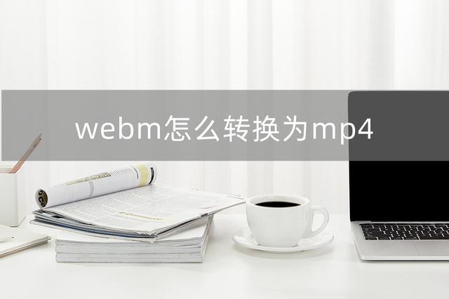 webm是什么格式(webm转换mp4最简单方法)(1)