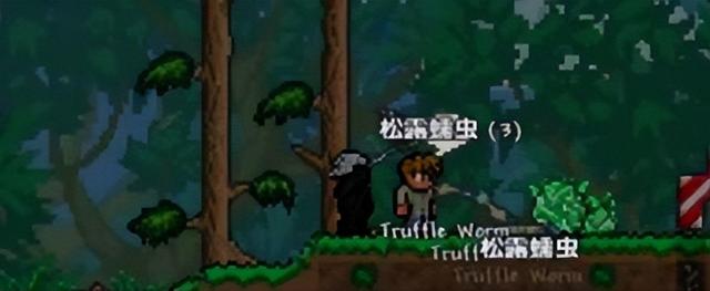 泰拉瑞亚松露虫怎么抓（泰拉瑞亚快速刷松露虫的方法）(1)