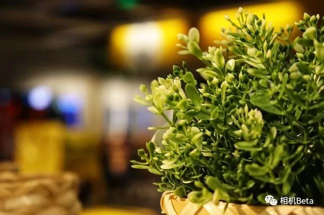 佳能200d二代参数配置（佳能eos200d二代值得购买吗）(4)