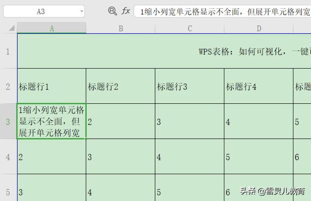 wps表格行高怎么设置（wps如何统一调整表格的行高和列宽）(6)