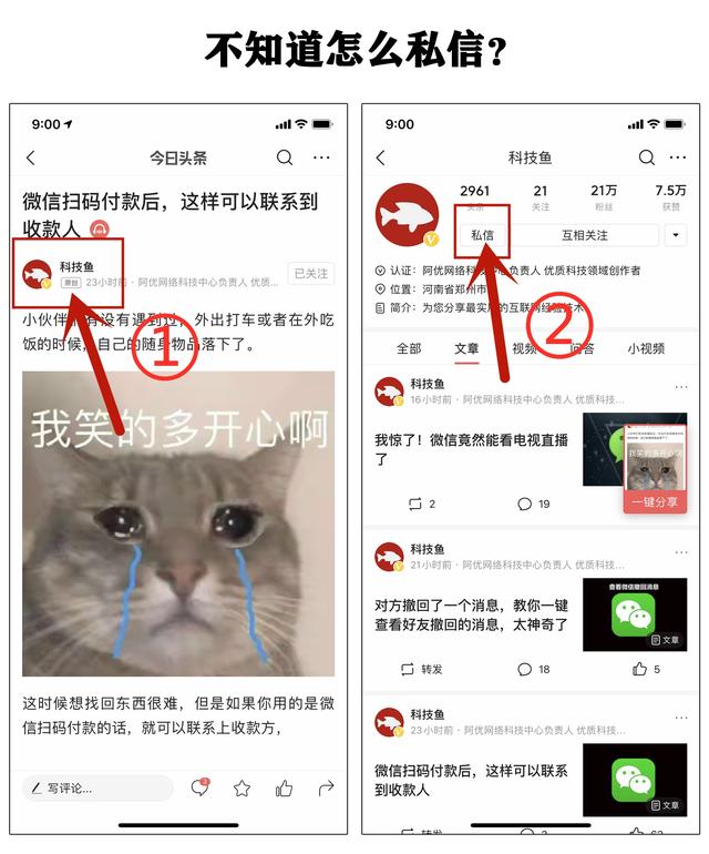 微信换主题怎么设置（设置微信主题的详细操作方法）(2)