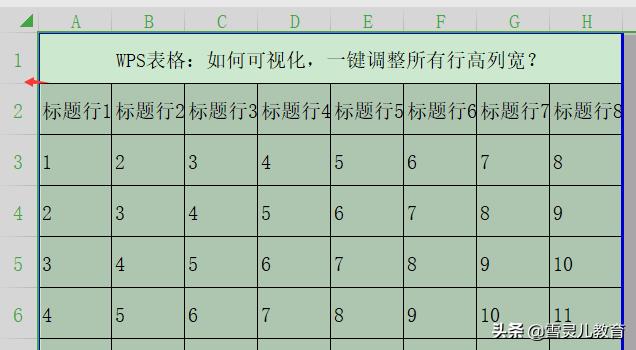 wps表格行高怎么设置（wps如何统一调整表格的行高和列宽）(4)