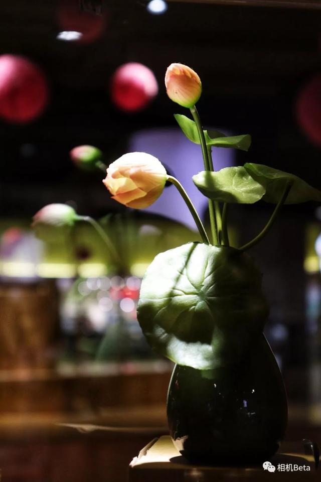 佳能200d二代参数配置（佳能eos200d二代值得购买吗）(13)