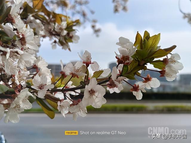 真我gtneo参数配置（realme真我gtneo2t天玑1200测评）(17)