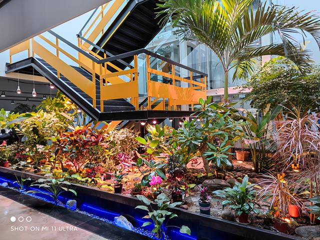 小米11ultra参数配置（小米11 ultra现在值得建议买吗）(6)