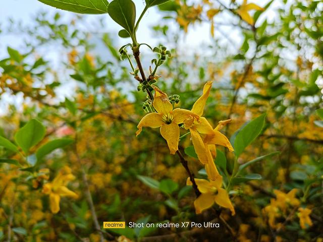 x7pro至尊版值得买吗（realme 真我x7pro 至尊版体验）(11)