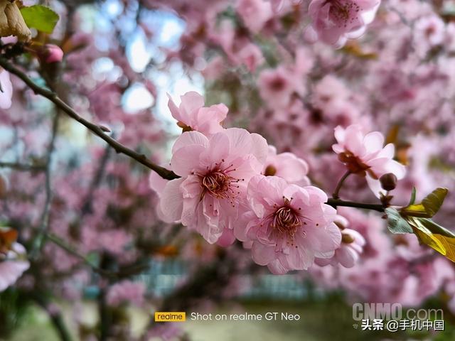 真我gtneo参数配置（realme真我gtneo2t天玑1200测评）(15)