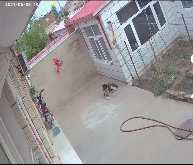 家用监控摄像头怎么选（监控摄像头挑选经验及方法分享）(1)