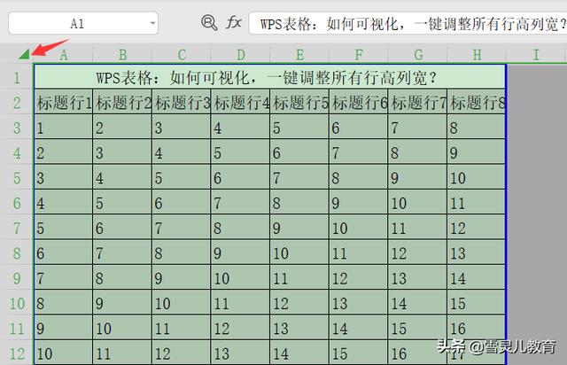 wps表格行高怎么设置（wps如何统一调整表格的行高和列宽）(2)