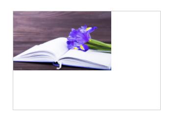 垂直居中怎么设置（垂直居中的方法和技巧）(2)