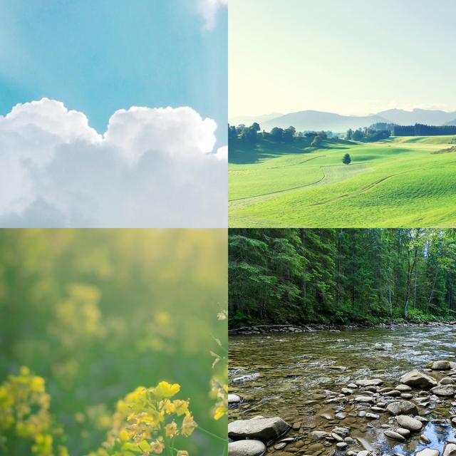 相片怎么合成一张(把几张图片合并成一张图片的方法)(6)