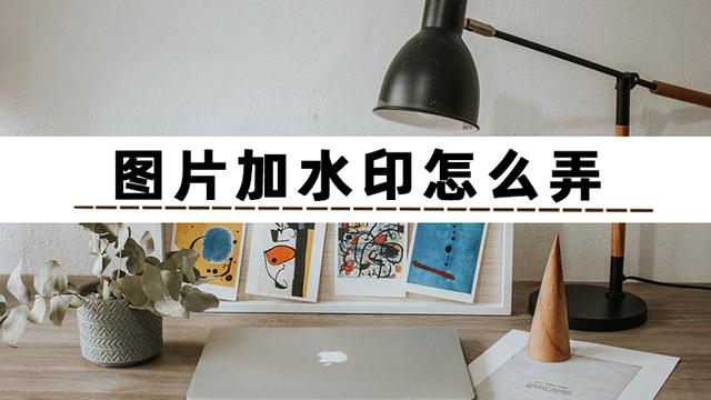 加水印怎么加（给图片加水印的几种操作方法）(2)
