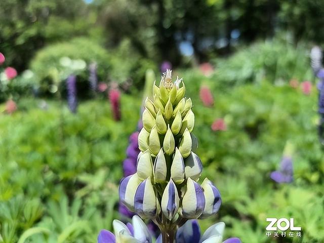 一加ace竞速版配置参数（一加ace竞技版值不值得入手）(19)