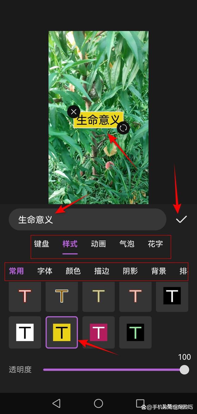 怎么在视频上编辑文字(视频上添加文字的方法)(7)