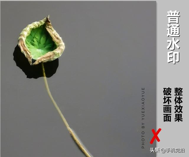 手机照片怎么添加水印（给照片加水印的2种方法）(14)