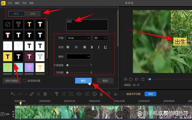 怎么在视频上编辑文字(视频上添加文字的方法)(11)