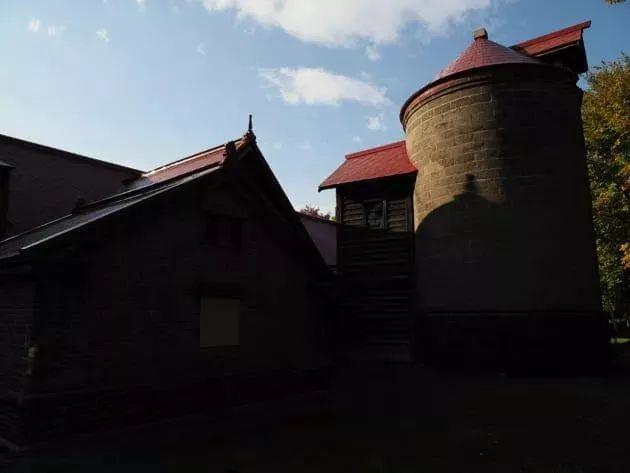 raw格式和jpg格式区别（raw照片和jpg照片哪个清楚）(7)