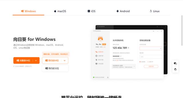 向日葵远程控制怎么用(手把手教你玩转远程控制)(7)