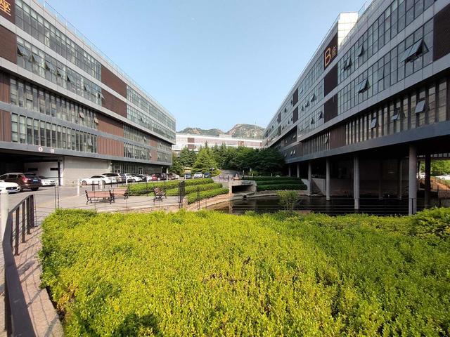 realmeq3pro参数配置详情(realme真我Q3 Pro狂欢版评测)(36)