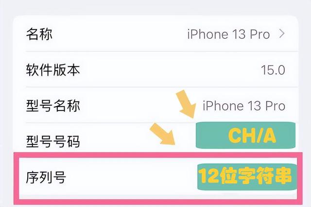 苹果手机怎么查型号（快速查询苹果手机型号的操作方法）(9)