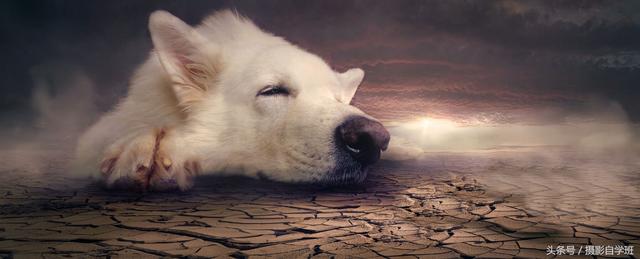 怎么把照片合成一张图片（手机两张图片合成一张的详细教程）(5)