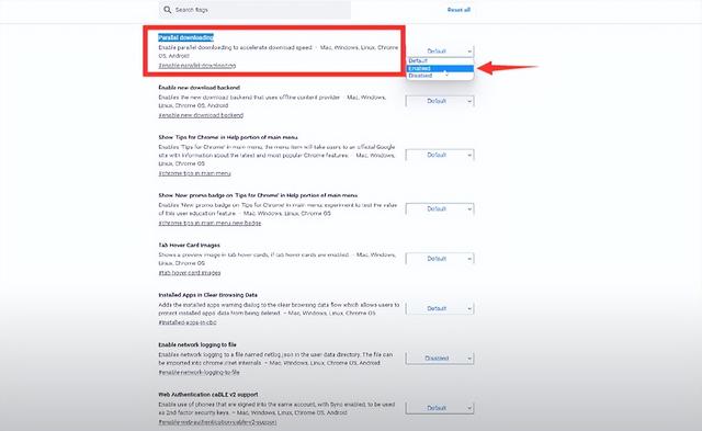 网页打开速度慢怎么办（浏览器太卡了如何快速修复）(6)