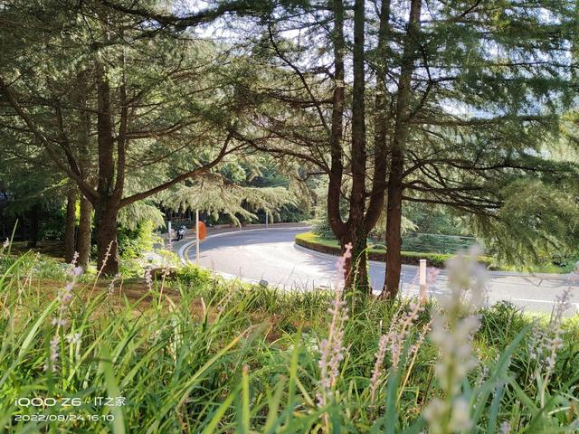 iqooz6手机参数配置(iqoo z6全面评测)(16)