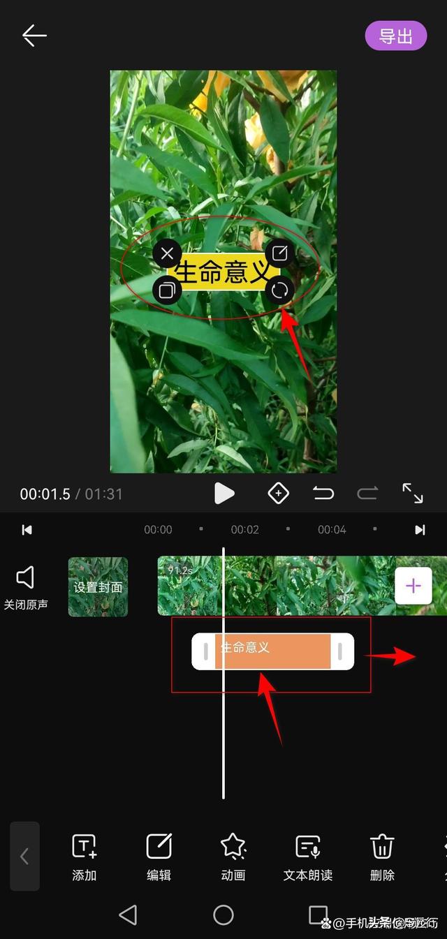 怎么在视频上编辑文字(视频上添加文字的方法)(8)