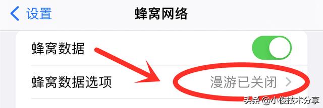 苹果手机如何提高网速（苹果手机网速太慢怎么办教你一招）(3)
