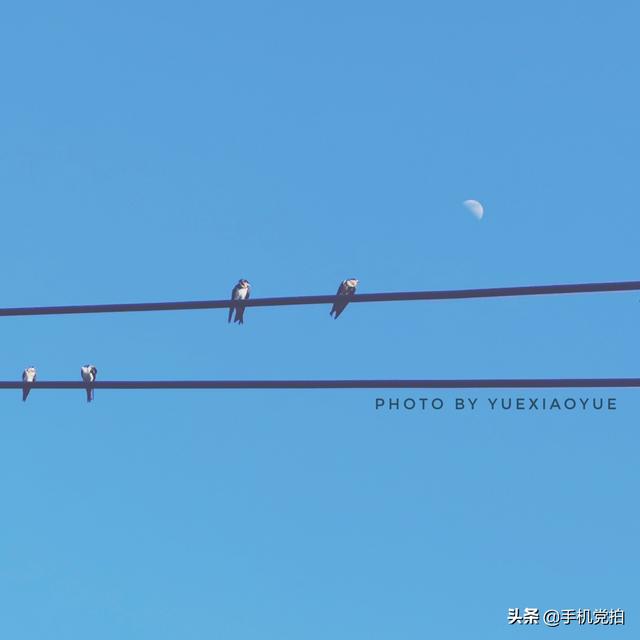 手机照片怎么添加水印（给照片加水印的2种方法）(13)