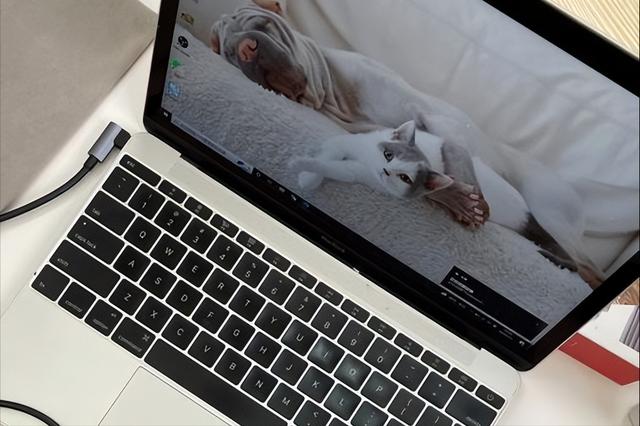 苹果电脑卡顿反应慢怎么办(教你几招快速释放存储空间)(1)