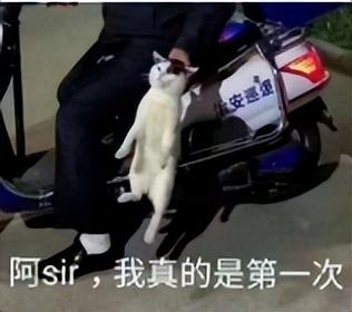 如何让电脑提速（电脑优化系统详细教程）(30)