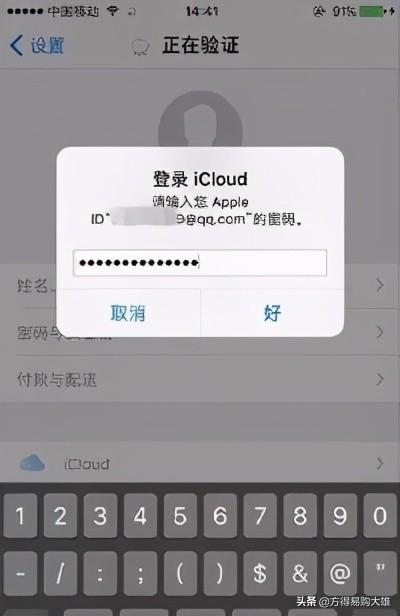 apple id注册怎么弄（苹果手机注册id的详细教程）(14)