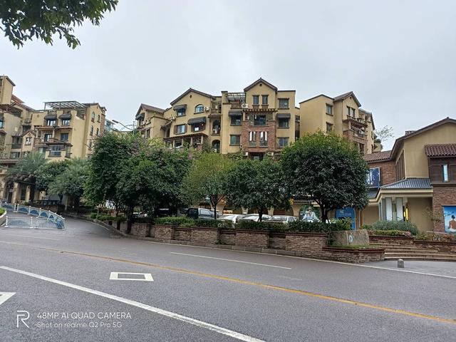 realmeq2pro参数配置详情（realmeq2pro这款手机值不值得买）(27)