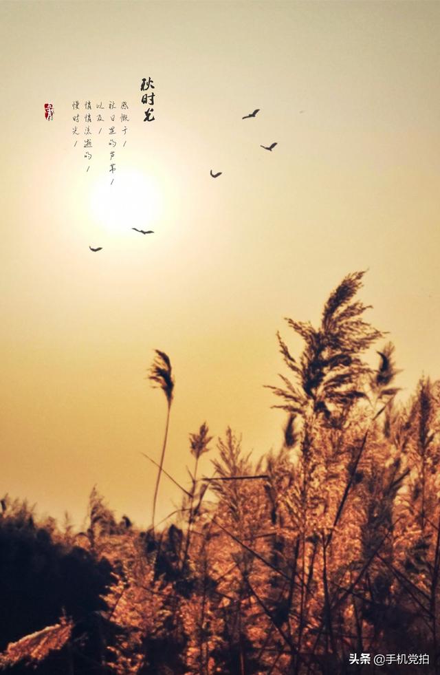 手机照片怎么添加水印（给照片加水印的2种方法）(22)