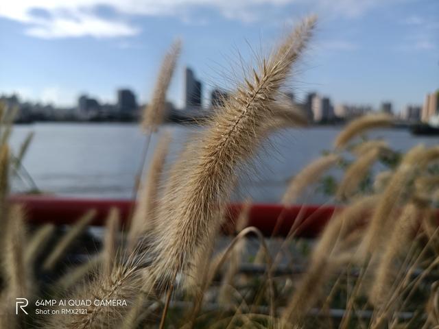 realme真我x7pro参数配置（realme x7 pro手机值得买吗）(37)