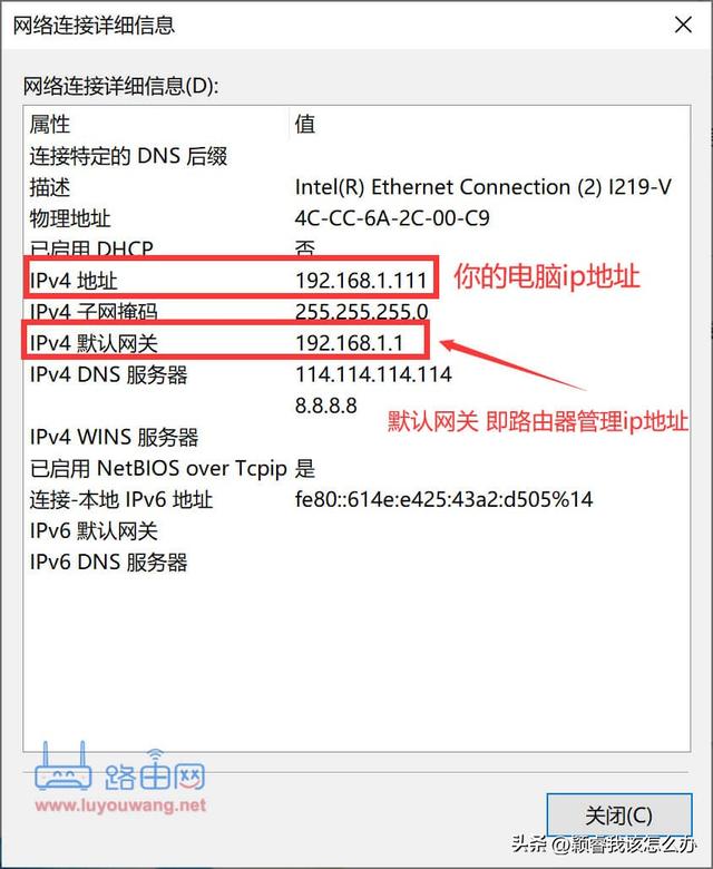 电脑ip地址怎么查（查看电脑的ip地址最简单方法）(9)