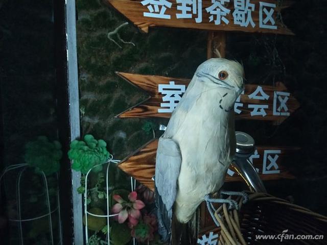 360n6pro手机怎么样(360n6 pro值得买吗)(54)