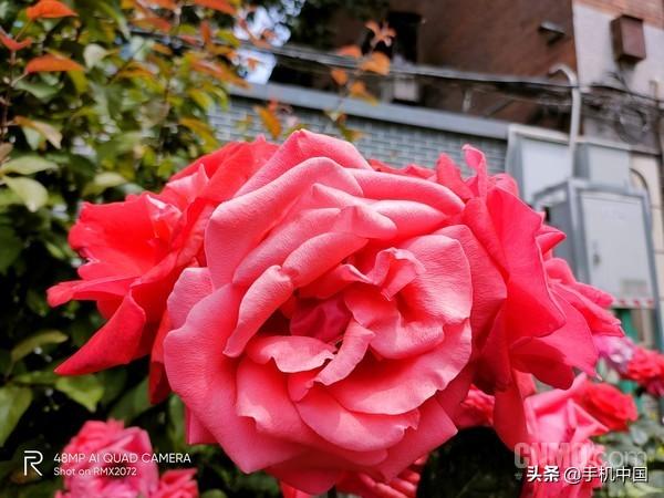 真我x50pro玩家版参数配置（realme x50 pro 玩家版值得购买吗）(13)