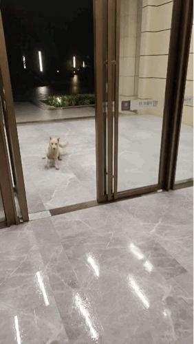 如何让电脑提速（电脑优化系统详细教程）(3)