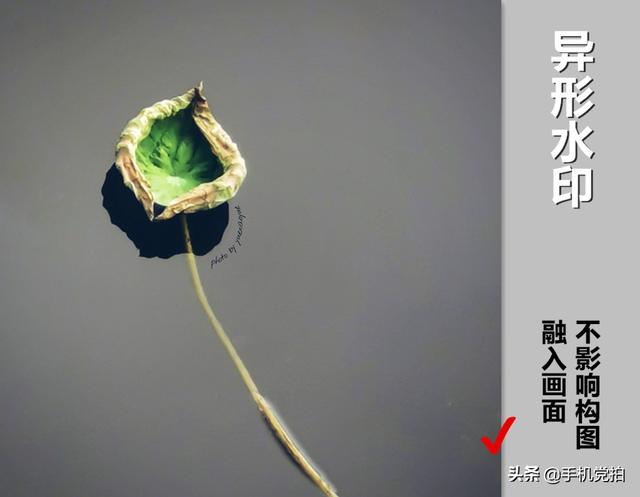 手机照片怎么添加水印（给照片加水印的2种方法）(15)