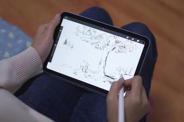 ipadair和ipadpro区别(如何选择ipad air和ipad pro)(16)