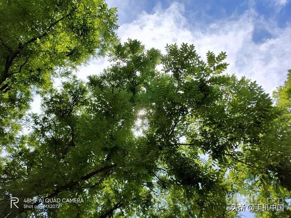 真我x50pro玩家版参数配置（realme x50 pro 玩家版值得购买吗）(12)