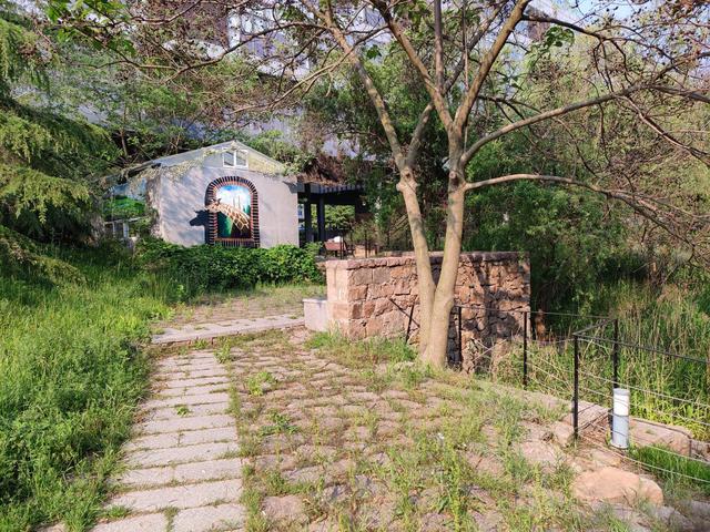 realmeq3pro参数配置详情(realme真我Q3 Pro狂欢版评测)(31)